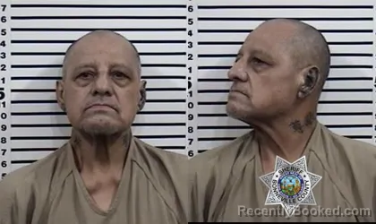 Mugshot of DOMINGO PENA