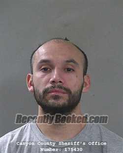 Mugshot of BRANDY SALINAS