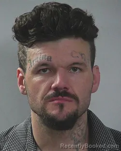 Mugshot of SHAD MICHAEL DWYER