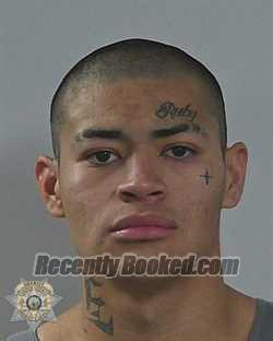 Mugshot of DAVID RICARDO GUTIERREZ