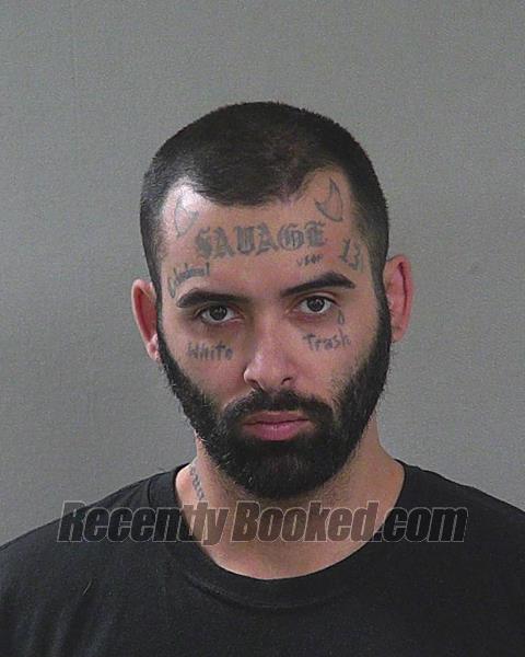 Mugshot of VINCENT EDWARD PIRELLI