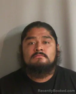 Mugshot of ALEX TORRES