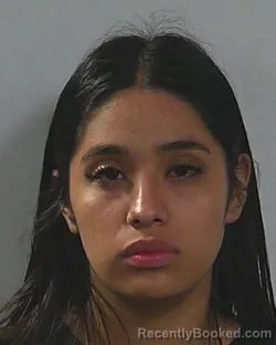 Mugshot of ADILENE SANCHEZ CRUZ