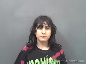 Booking photo from Cassia County, Idaho