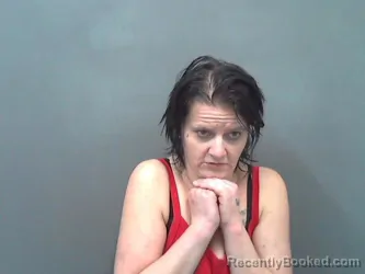 Mugshot of KRISTIN H CRULL