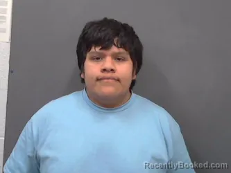 Booking photo from Cassia County, Idaho