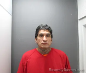 Mugshot of HARRY ANTHONY WILLIAMS