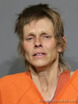 Mugshot of Linda Faye Forrest