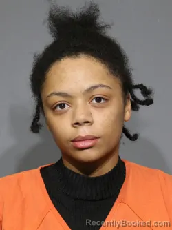 Mugshot of Tiana Marie Ehresman