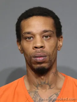 Mugshot of Johnson James Mitchell