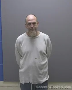 Mugshot of BRANDON TODD WILSON