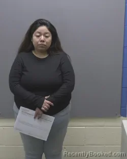 Mugshot of VERONICA SANCHEZ ARIAS