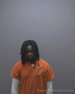 Mugshot of MICAH ROBBIE ROBERTSON