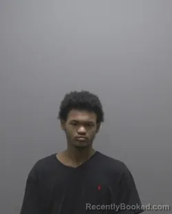 Mugshot of DEVIN TYRESE LOVE