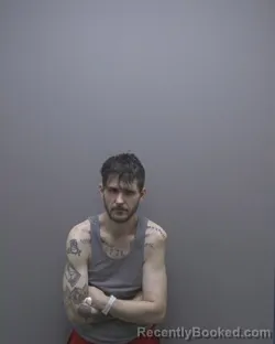 Mugshot of BRIAN MATTHEW TEELING