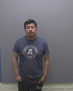 Mugshot of EFRAIN AMBROS XOLO