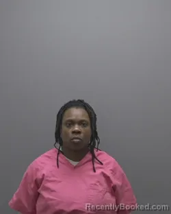 Mugshot of ERICA KINCAID