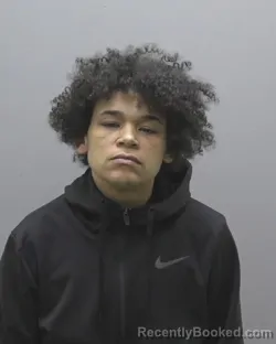 Mugshot of TAYLOR DIANNE TORRES