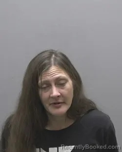 Mugshot of MELISSA MARIE KING