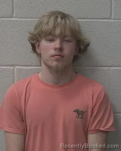 Mugshot of TYLER LEE WILLIAMS