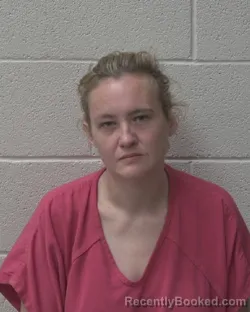 Mugshot of HEATHER MICHELLE WATSON