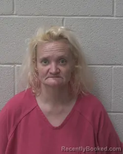 Mugshot of ARON MISTY BROWN