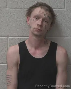 Mugshot of JONATHAN BLACKWOOD COLLINS