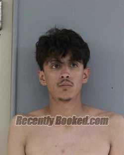 Mugshot of ADAN ALBERTO NAVARRO