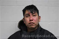 Mugshot of JUAN FLORES