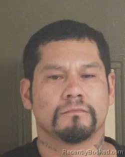 Mugshot of BRANDON J PEREZ