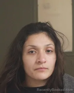 Mugshot of ELENA C ROMEROBELTRAN