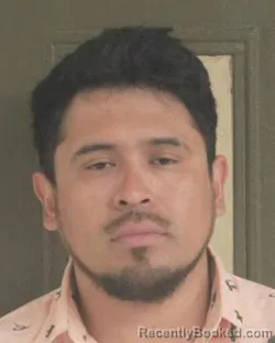 Mugshot of ALEJANDRO MORALES