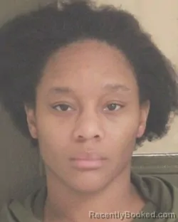 Mugshot of MARY L POWELL