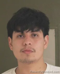 Mugshot of MARCO A DIAZREINAGA