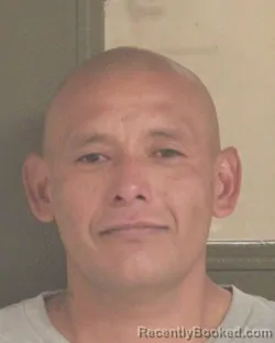 Mugshot of JULIAN J GONZALEZ