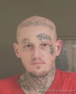 Mugshot of COREY J JANIC