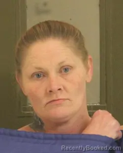 Mugshot of HEATHER N SILVIS