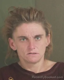 Mugshot of BRENDA K DIMITRIADIS