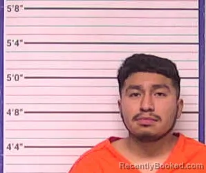 Mugshot of VICTOR SOSA