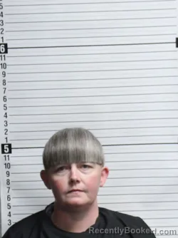 Mugshot of ASHLEY LYNN AGIN