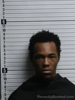 Mugshot of ELIJAH MICYBRA BUNTING