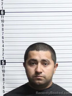 Mugshot of LOE BUSTOS CAMPOS