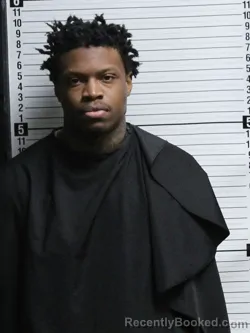 Mugshot of SAVION TAYSHAWN GORE