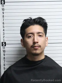Mugshot of CRISTIAN HERNANDEZ MEXICANO
