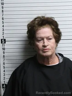 Mugshot of JUDY DIANE HINSON