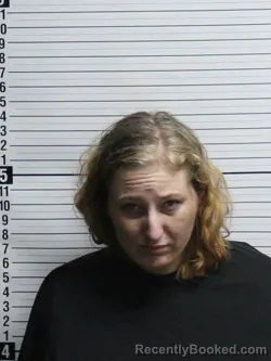 Mugshot of ASHLEY AMBER JOHNSON