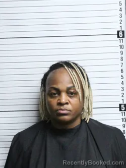 Mugshot of SHAUNTEE SHARESE MIDDLETON