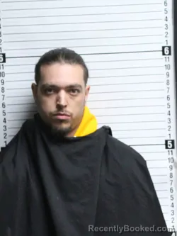 Mugshot of ANTHONY MICHAEL NAPOLITANO