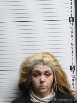Mugshot of STEPHENIE MARIE SERRATO