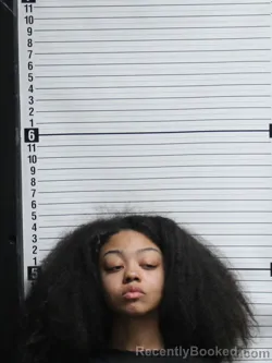 Mugshot of AYSJAH AKARIE WILLIS